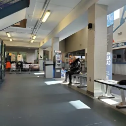 Ashburn Ice House - Ashburn