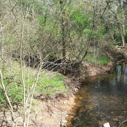 Ashburn Park - Ashburn