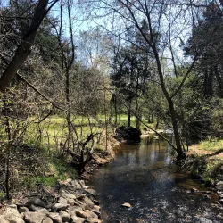 Ashburn Park - Ashburn