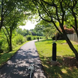 Ashburn Village Sports Pavilion - Ashburn