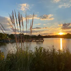 Ashburn Village Sports Pavilion - Ashburn