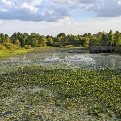 Broadlands Nature Center - Ashburn