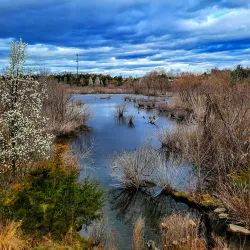 Broadlands Nature Center - Ashburn
