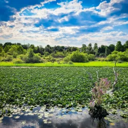 Broadlands Nature Center - Ashburn