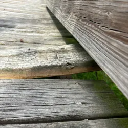 Broadlands Nature Center - Ashburn