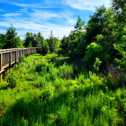 Broadlands Nature Center - Ashburn