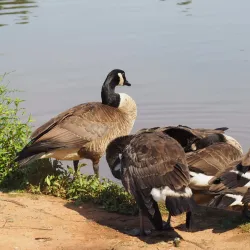 Claude Moore Park - Ashburn