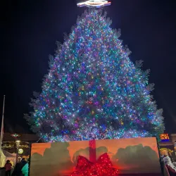 One Loudoun - Ashburn