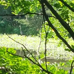 Trailside Park - Ashburn