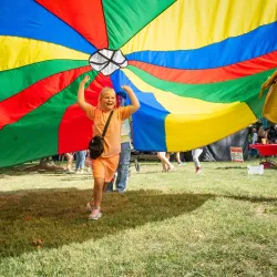 Bristol Rhythm & Roots Reunion - Bristol