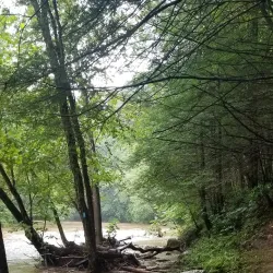 Bull Run Occoquan Trail - Centreville