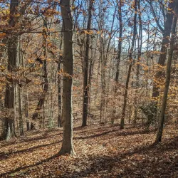 Bull Run Occoquan Trail - Centreville