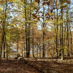 Bull Run Occoquan Trail - Centreville