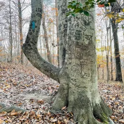 Bull Run Occoquan Trail - Centreville