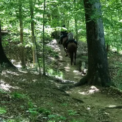 Bull Run Occoquan Trail - Centreville