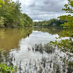 Bull Run Regional Park - Centreville