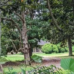 Centreville Historic District - Centreville