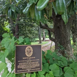 Centreville Historic District - Centreville