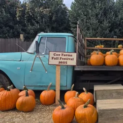 Cox Farms - Centreville