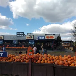 Cox Farms - Centreville