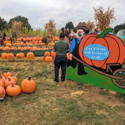 Cox Farms - Centreville