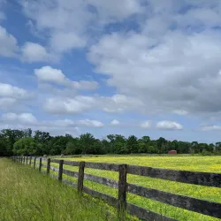 Frying Pan Farm Park - Centreville