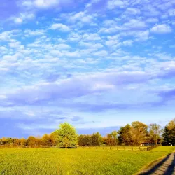 Frying Pan Farm Park - Centreville