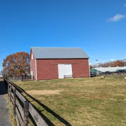 Frying Pan Farm Park - Centreville
