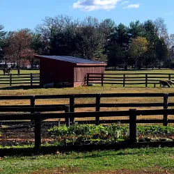 Frying Pan Farm Park - Centreville