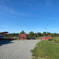 Frying Pan Farm Park - Centreville