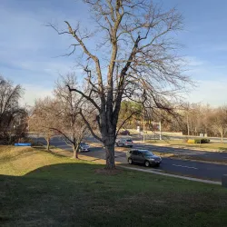 Historic Centreville Library - Centreville