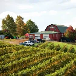 Carter Mountain Orchard - Charlottesville