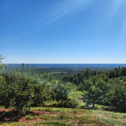 Carter Mountain Orchard - Charlottesville