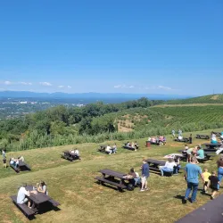 Carter Mountain Orchard - Charlottesville