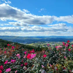 Carter Mountain Orchard - Charlottesville