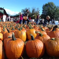 Carter Mountain Orchard - Charlottesville