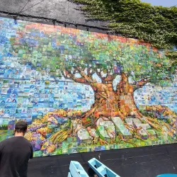 IX Art Park - Charlottesville