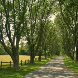 James Monroe's Highland - Charlottesville