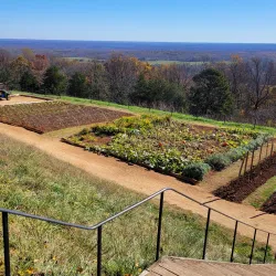 Monticello - Charlottesville