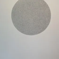 The Fralin Museum of Art at the University of Virginia - Charlottesville