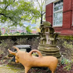 The Fralin Museum of Art at the University of Virginia - Charlottesville