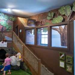 Virginia Discovery Museum - Charlottesville