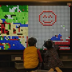 Virginia Discovery Museum - Charlottesville