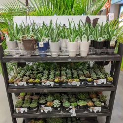 Christiansburg Depot - Christiansburg