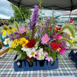 Christiansburg Farmers Market - Christiansburg