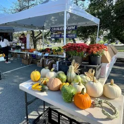Christiansburg Farmers Market - Christiansburg