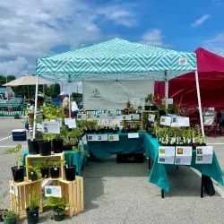 Christiansburg Farmers Market - Christiansburg