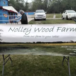 Starlite Drive-In Theatre - Christiansburg