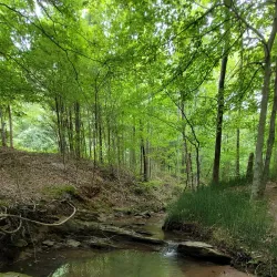 Anglers Park - Danville