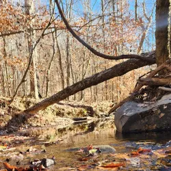 Anglers Park - Danville